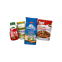 Začini